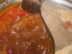 -熊喵来了火锅(长安万达第94分店)
