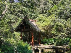 -杭州半山国家森林公园