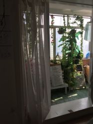 点击看大图 -倾城宝贝儿童摄影(广州天河店)