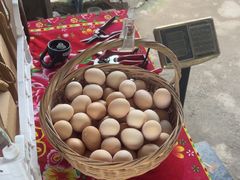 -马陆小张葡萄园农家乐