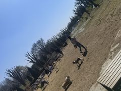 -小意思咖啡店(草桥店)