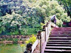 -普陀山风景名胜区-法雨禅寺