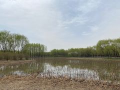 -东郊湿地公园