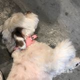 3 COFFEE｜愿意多次来感受年轻人氛围的小咖啡店 
