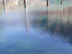 -叠溪松坪沟景区