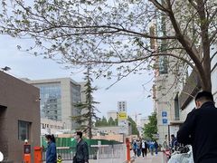 -北京大学肿瘤医院