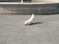 -大连人民广场