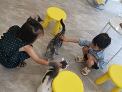 -猫力发电所·宠物专门店