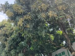 -柳州市动物园