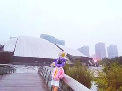 -合肥大剧院