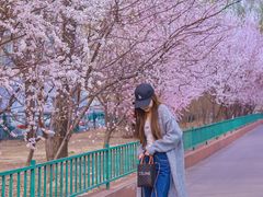 -知春路(地铁站)