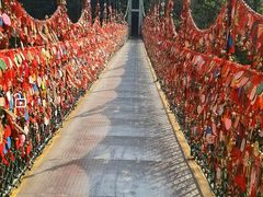 -野象谷景区
