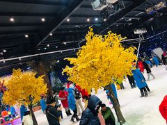 -宁波冰雪大世界(北仑区)