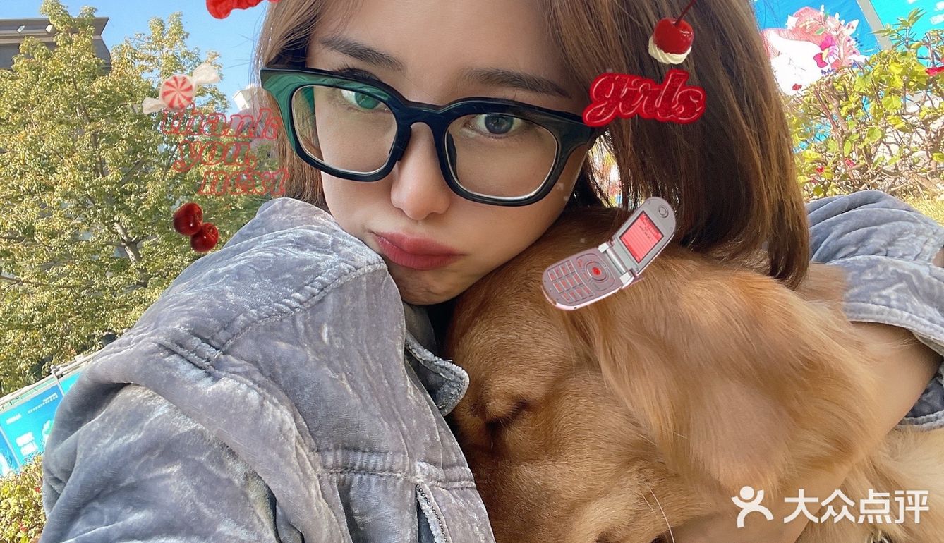 2020最后一天写给汪星人