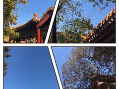 -故宫博物院(故宫)