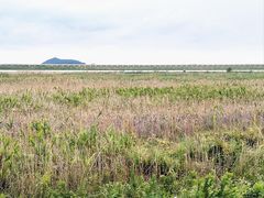 -金山嘴渔村