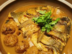 鸿运大鱼头-顺福苑·新派淮扬菜