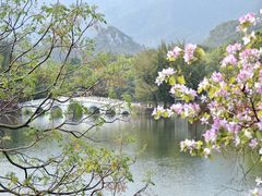 -羚羊峡古栈道森林公园