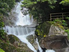 -东天目山风景区