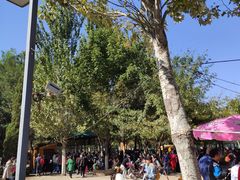 -长白岛森林公园