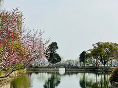 -无锡蠡湖国家湿地公园-蠡园