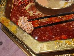 -蜀九香火锅(园艺山店)