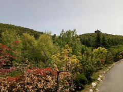 -威海华夏城景区