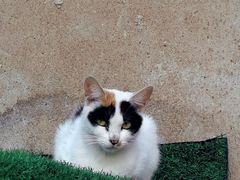 -半岛1919创意园区