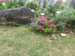 -东莞植物园