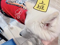 -OZ cafe(南昌路店)
