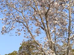 -白塘生态植物园