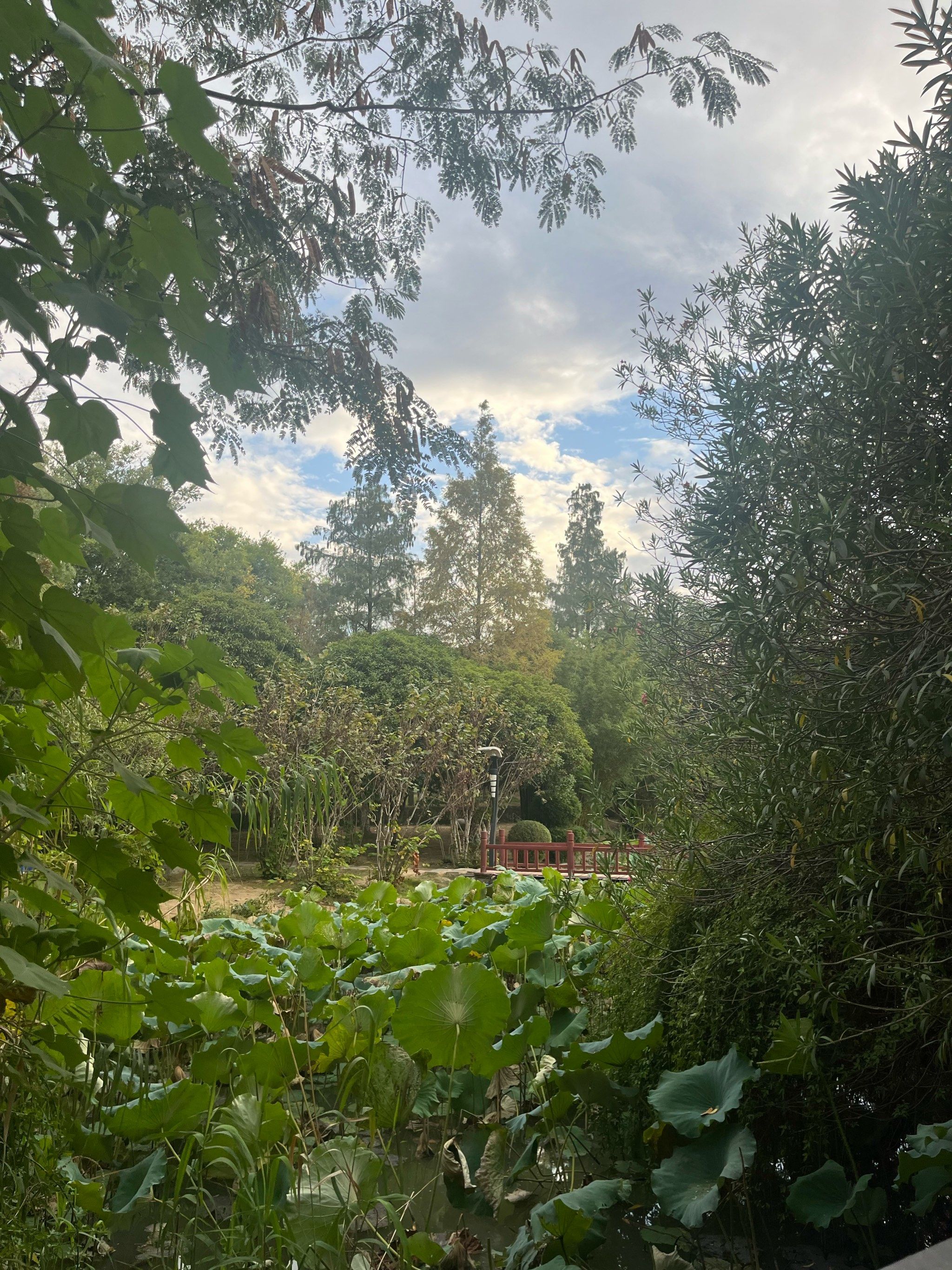 汉川公园秋日小游