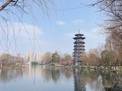 -洋湖国家湿地公园