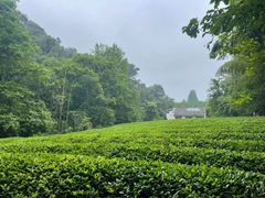 -敬亭山风景名胜区