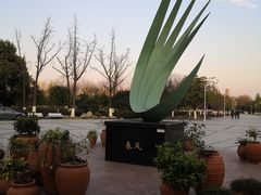 -白塘生态植物园