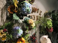 -共舞时光猫咖·狗咖(新街口店)