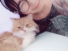 -喵的天空名猫咖啡馆·撸猫·猫舍·用品