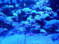 -太平洋海底世界