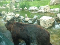 -北京野生动物园