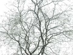 -苏州太湖国际会议中心