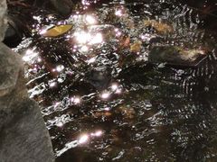 -碓臼峪自然风景区