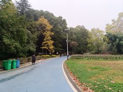 -贵州省植物园