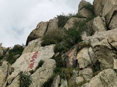 -泰山风景名胜区