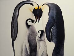 -罗红摄影艺术馆