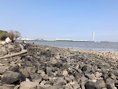 -上海吴淞炮台湾国家湿地公园