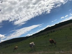 -塞罕坝国家级自然保护区