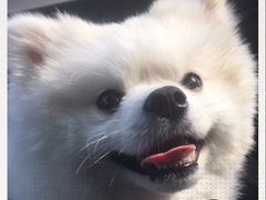 -十四涌水产中心