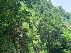 -宁波五龙潭景区