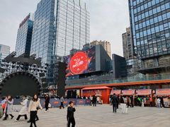 -合景·悠方(成都店)