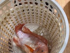 -小海豚•老字号海鲜餐厅(天涯店)